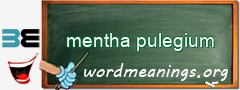 WordMeaning blackboard for mentha pulegium